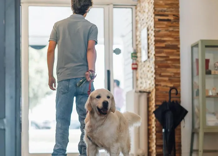 - Le Grand Hotel Ronce-les-Bains